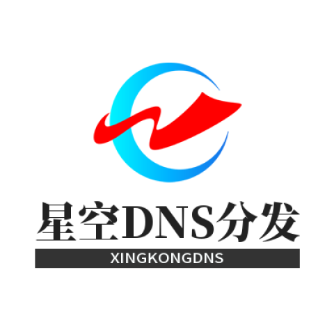 星空DNS分发系统